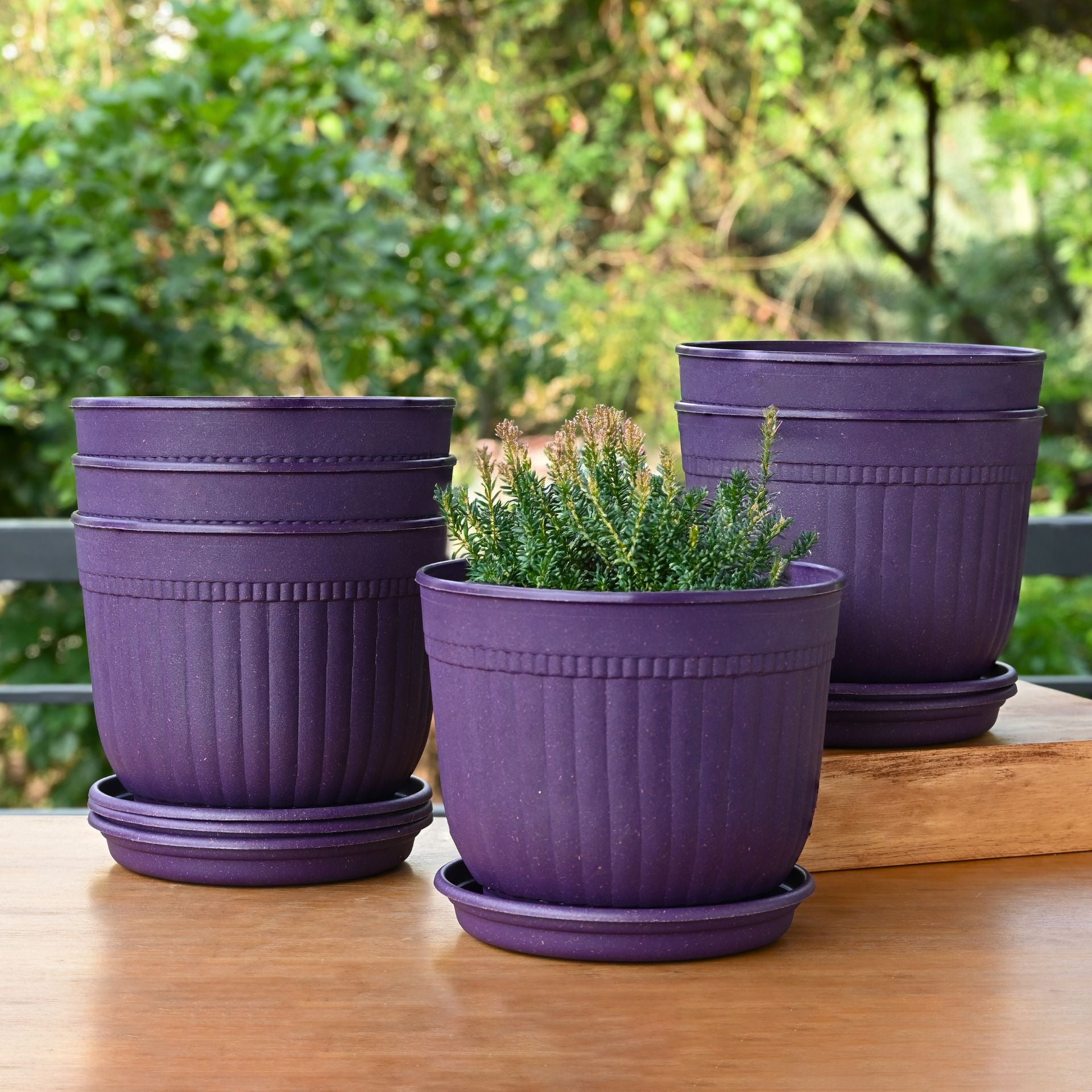 Eha Earth Friendly Petal Pot 7 inch | Pack of 6