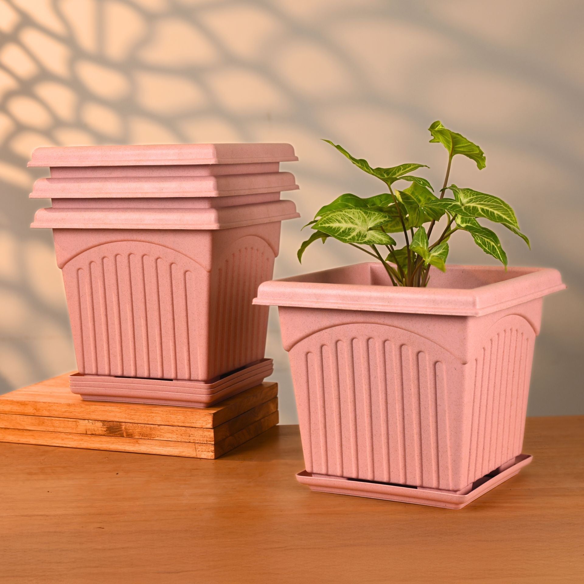 Earth Friendly 10 Archway Planters image 2