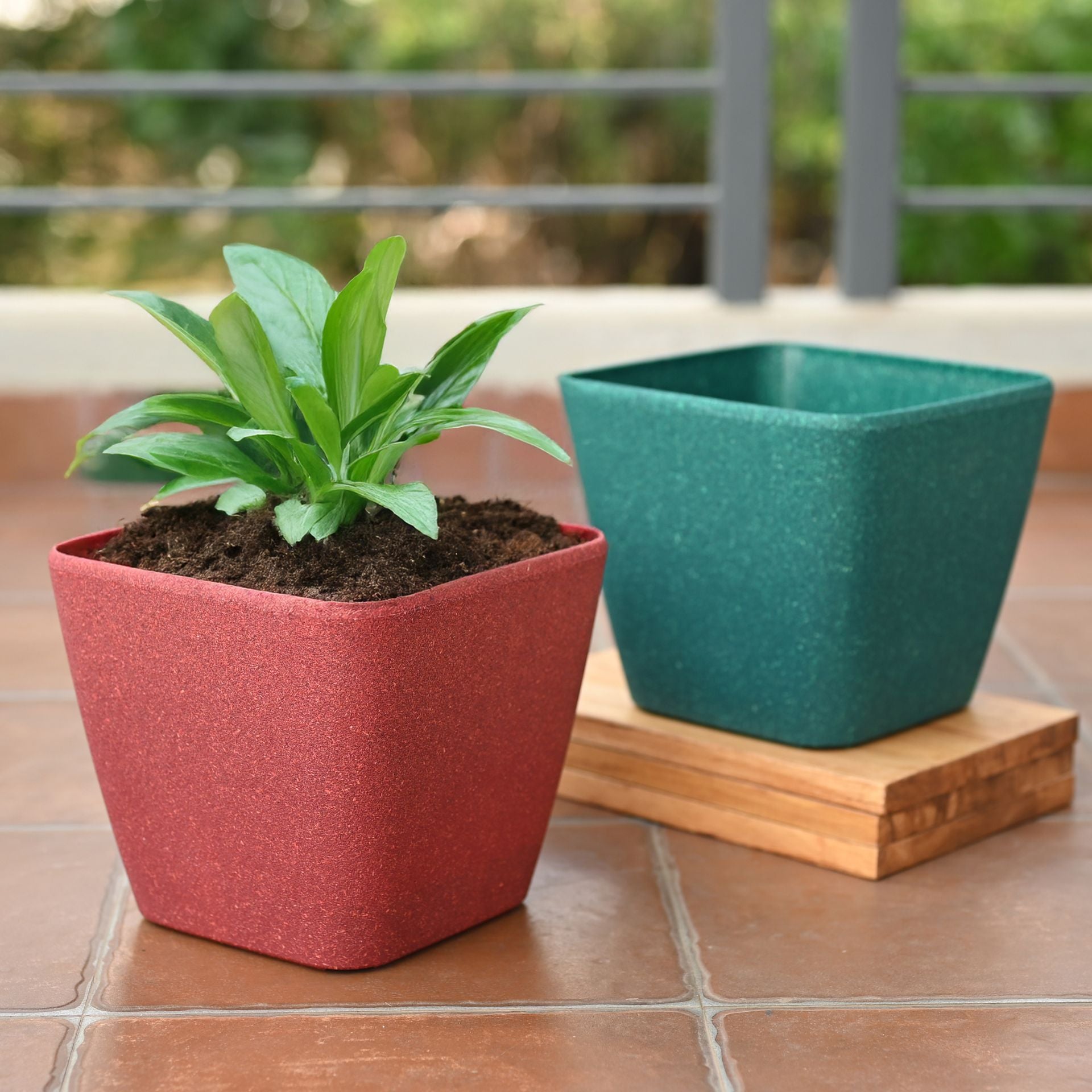 Earth-Friendly Daisy Self Watering Planters 9 Inch set of 2 | Bamboo Based Pots and Planters