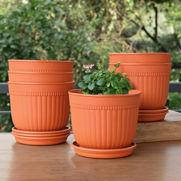 Eha Earth Friendly Petal Pot 7 inch | Pack of 6