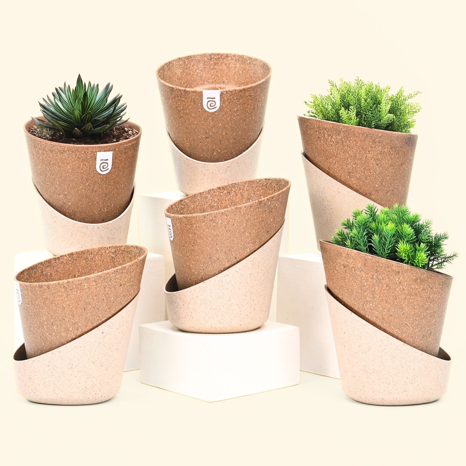 Earth-Friendly Planters EcoBloom 7 Inch set of 6 | Self watering Planters