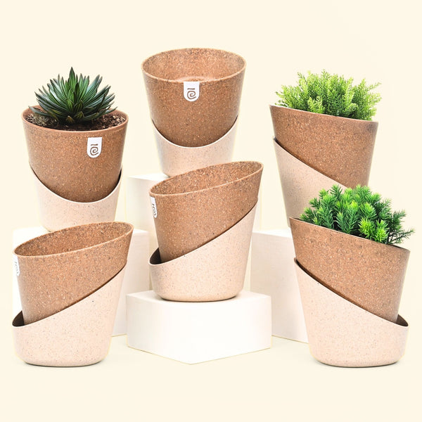 Earth-Friendly Planters EcoBloom 7 Inch set of 6 | Self watering Planters