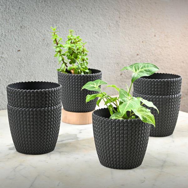 Earth Friendly Link 5.5 inch | Set of 6