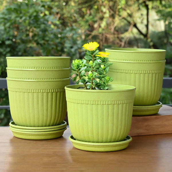 Eha Earth Friendly Petal Pot 7 inch | Pack of 6