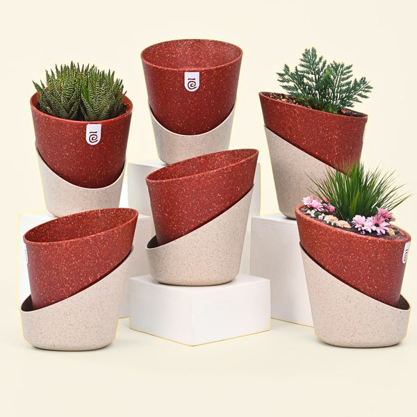 Earth-Friendly Planters EcoBloom 7 Inch set of 6 | Self watering Planters