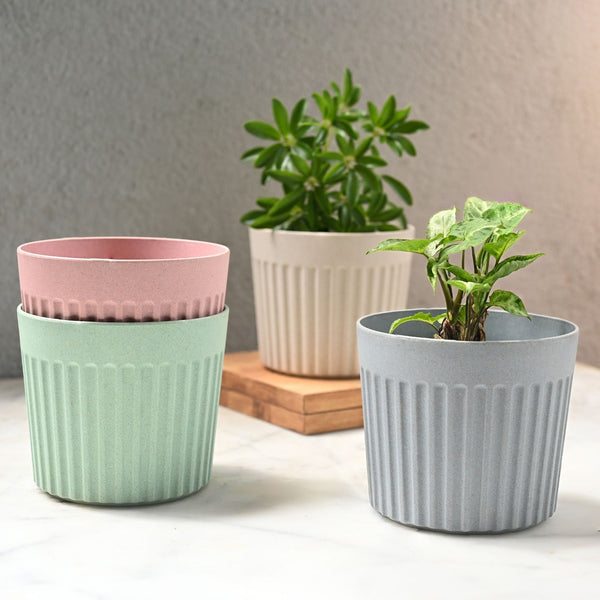 Earth Friendly Romano 6 inch | Set of 4