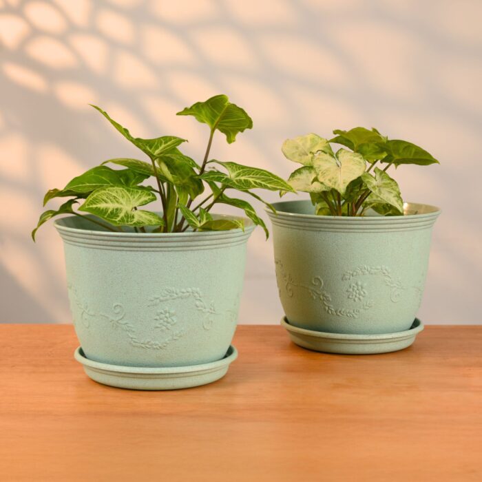 Earth Friendly Planters Leafy 8 image 1