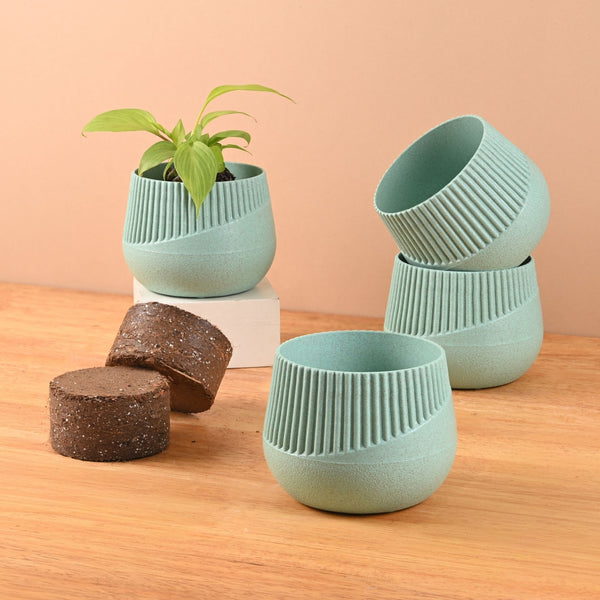 Earth Friendly Oreo 4 inch Small pots for Indoor Plants with 2 Growmix | Pack of 4