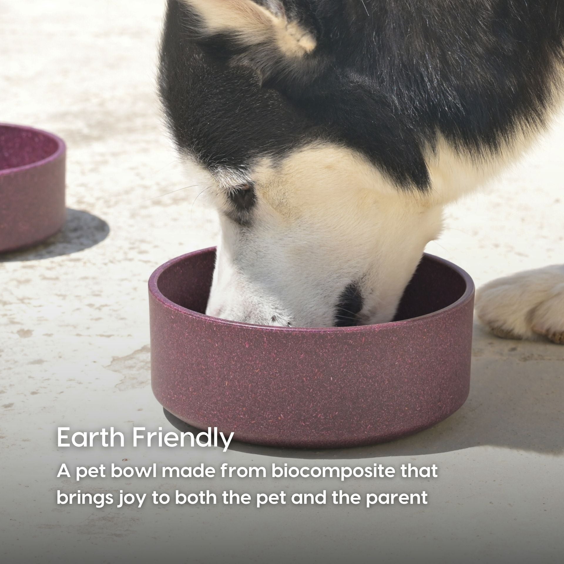 Earth friendly GreenPaws Pet Bowl | Set of 2 | 1200 ml + 650 ml | Bowls Made with Bamboo Fibers & Rice Husk | for Hot & Cold servings