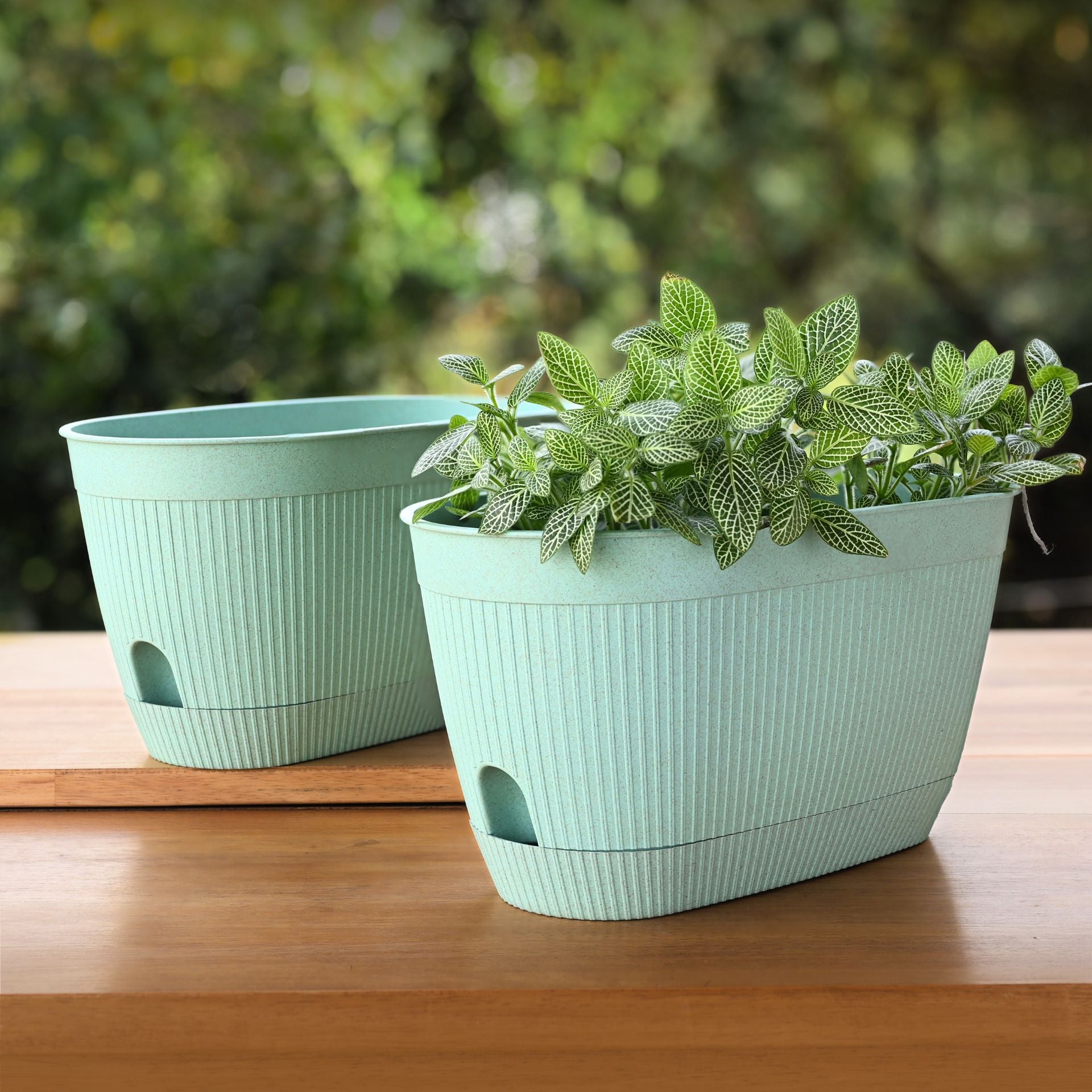 Eha Earth Friendly Eva 11.5 inch Pack of 2 | Self Watering Pots for Plants