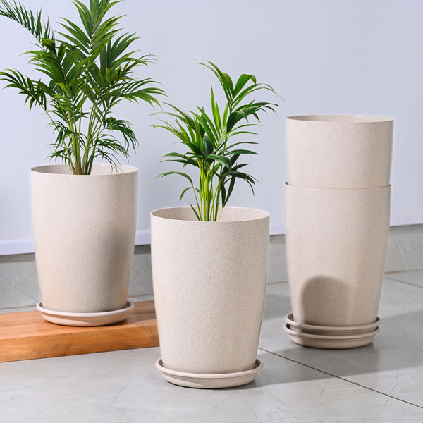 Earth Friendly Cypress 10″ | Set of 4