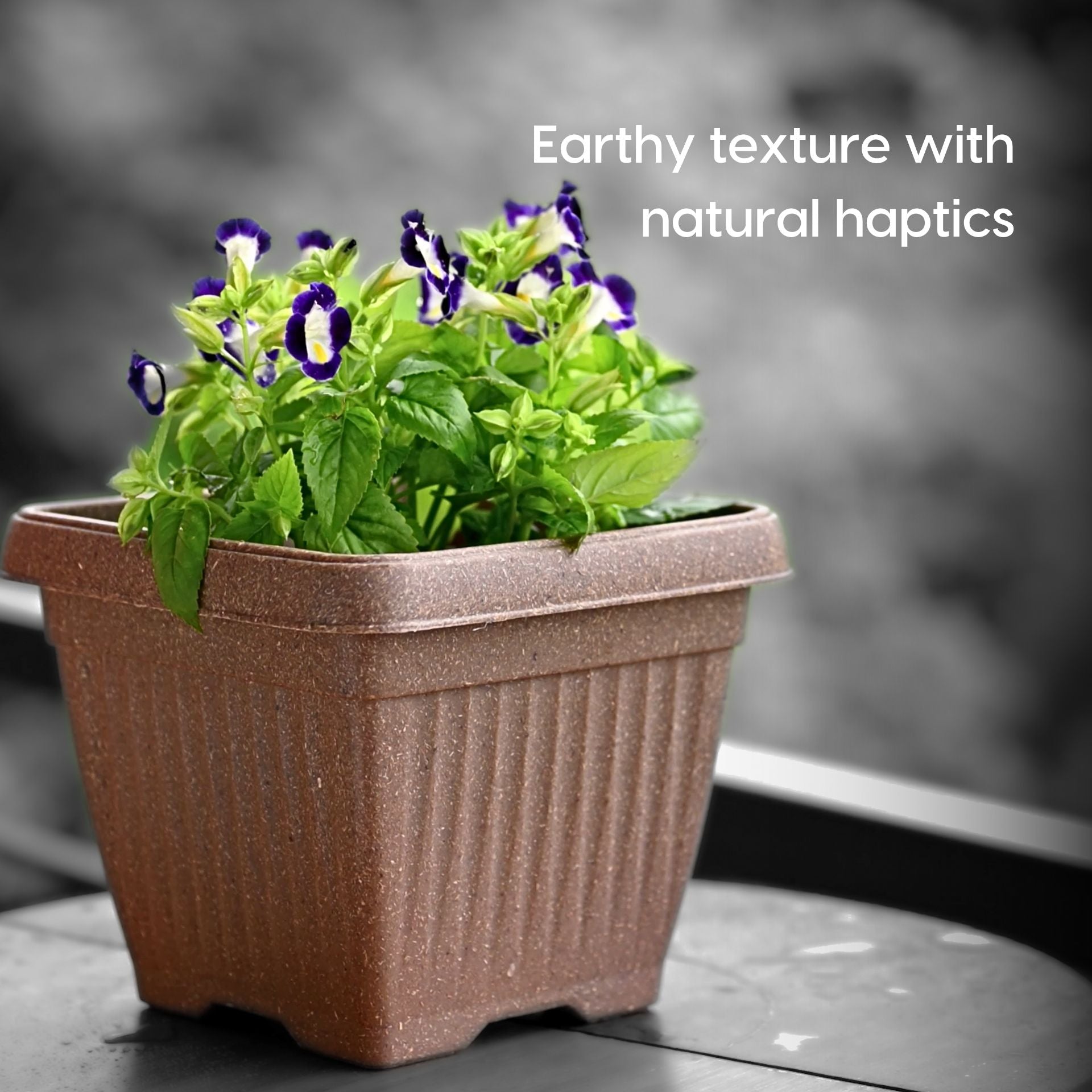 Earth Friendly Planters Bella Square image 2