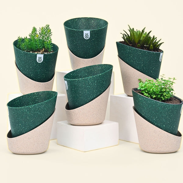 Earth-Friendly Planters EcoBloom 7 Inch set of 6 | Self watering Planters