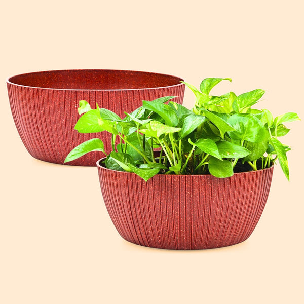 Earth Friendly Planters NatureNest Round 12 Inch set of 2 | Bamboo Based Pots and Planters