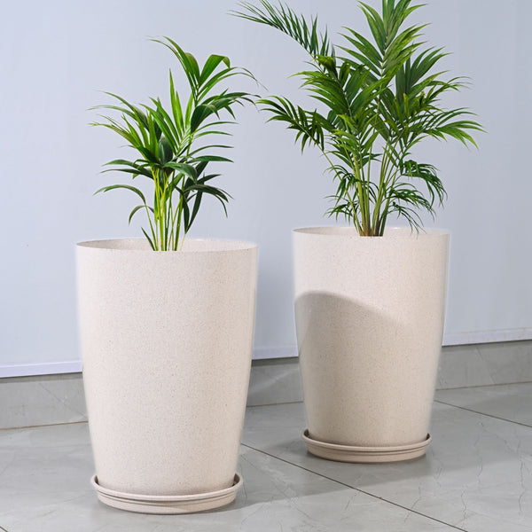 Earth Friendly Cypress 16″ | Set of 2
