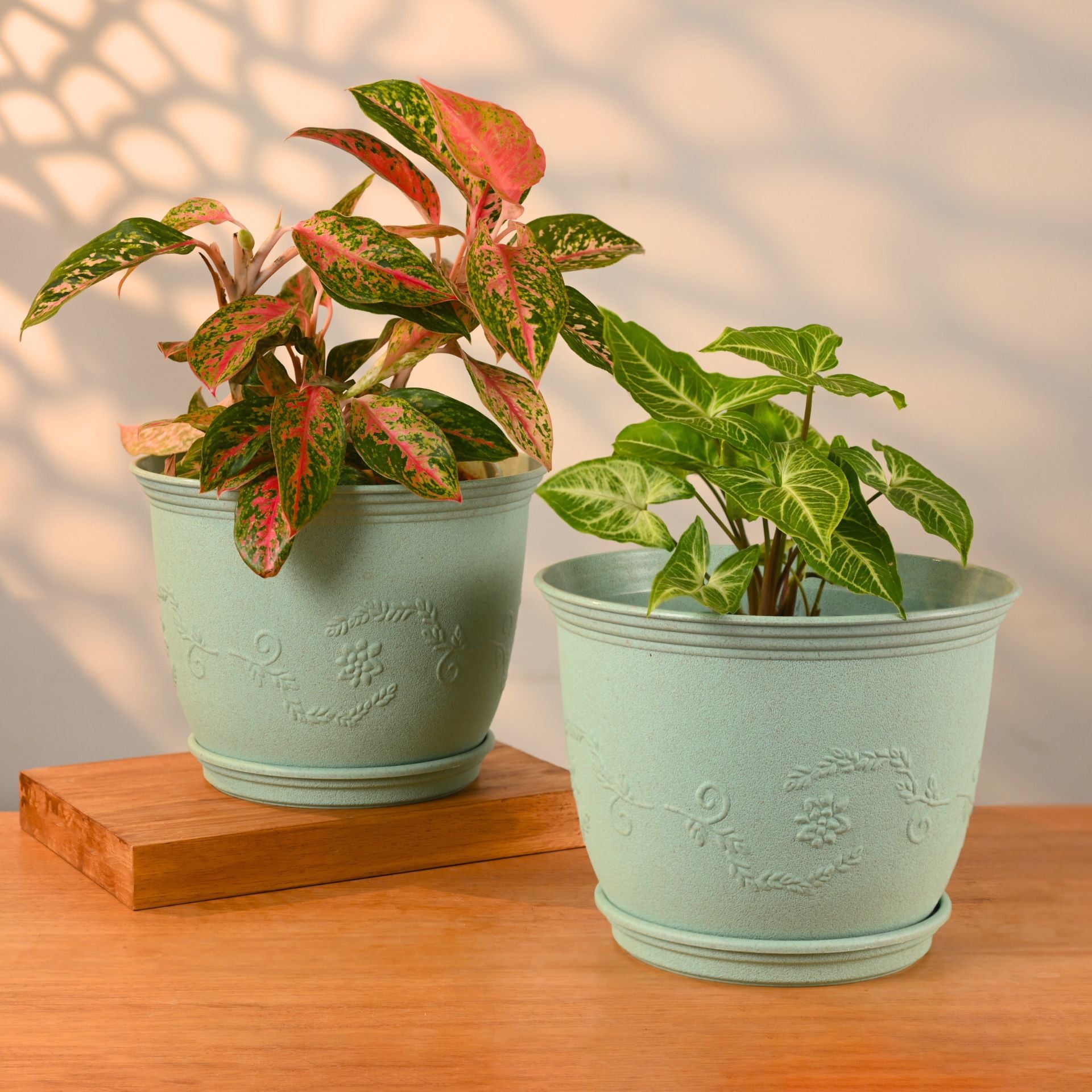 Earth-Friendly Planters Leafy 10 Inch set of 2 | Bamboo Based Pots and Planters with tray