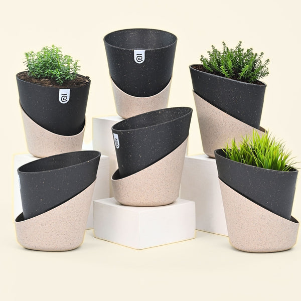 Earth-Friendly Planters EcoBloom 7 Inch set of 6 | Self watering Planters