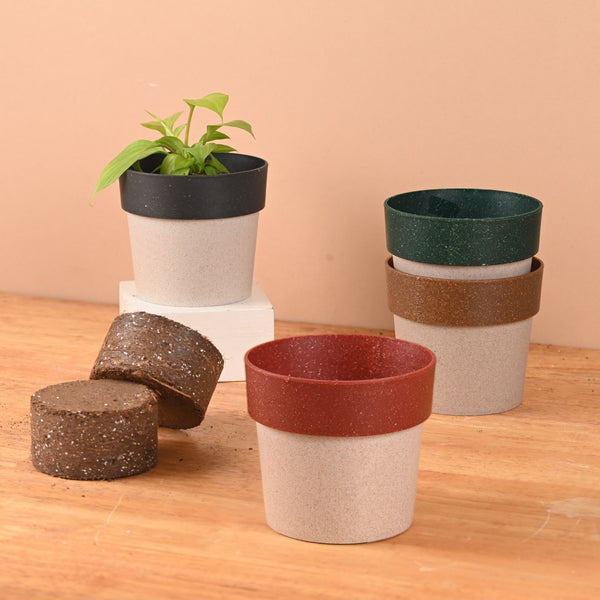 Earth Friendly Ecopod 4 inch Small pots for Indoor Plants with 2 Growmix | Pack of 4