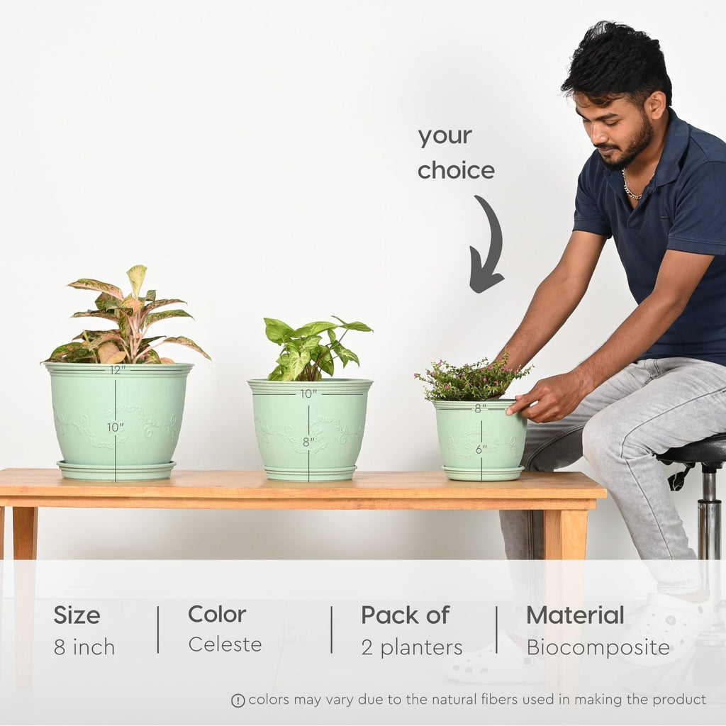 Earth Friendly Planters Leafy 8 image 2