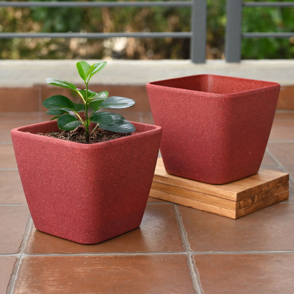 Earth-Friendly Daisy Self Watering Planters 9 Inch set of 2 | Bamboo Based Pots and Planters