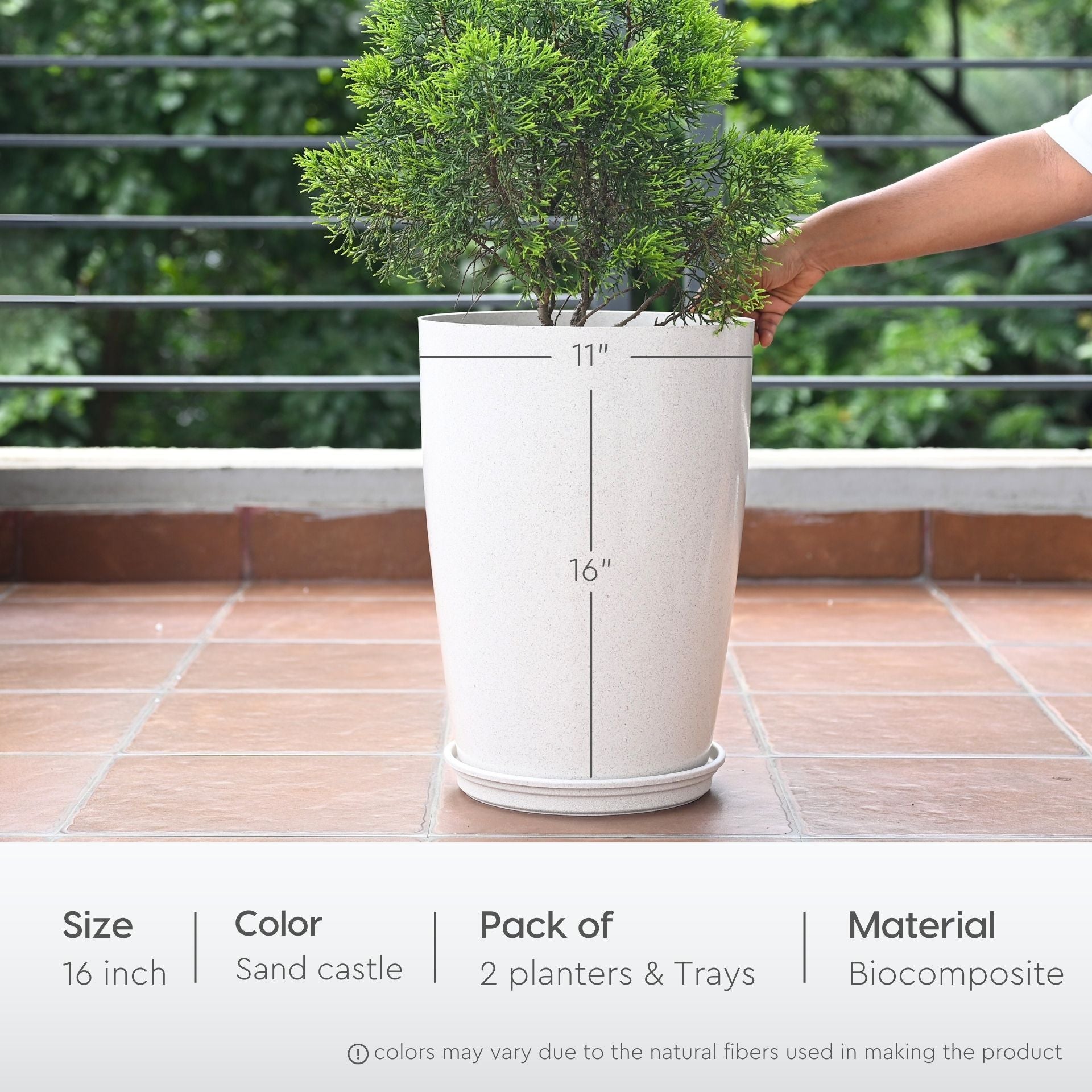 Earth Friendly Cypress 16 2 image 2