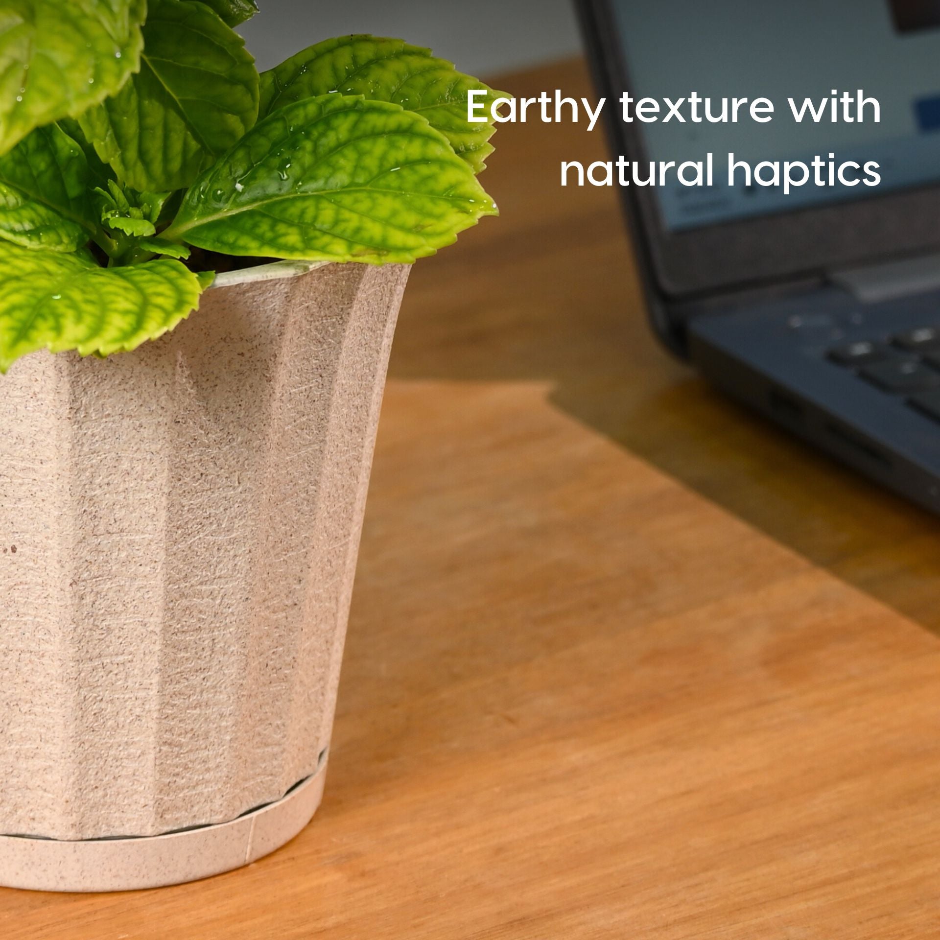 Earth Friendly Ace 7 inch image 6