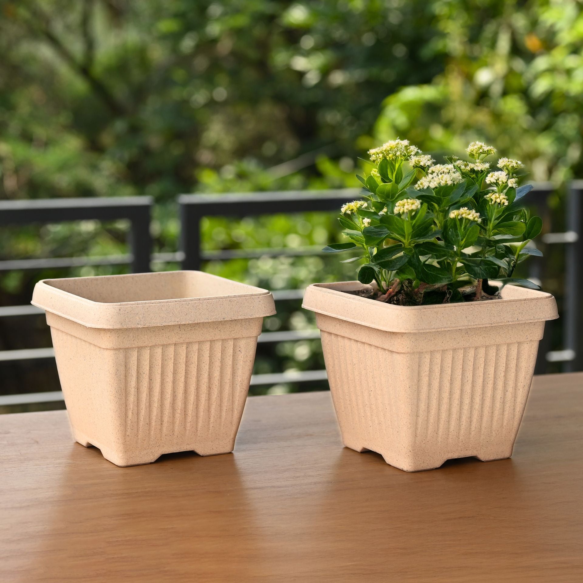 Earth-Friendly Planters Bella Square 8 Inch set of 2 | Bamboo Based Pots and Planters