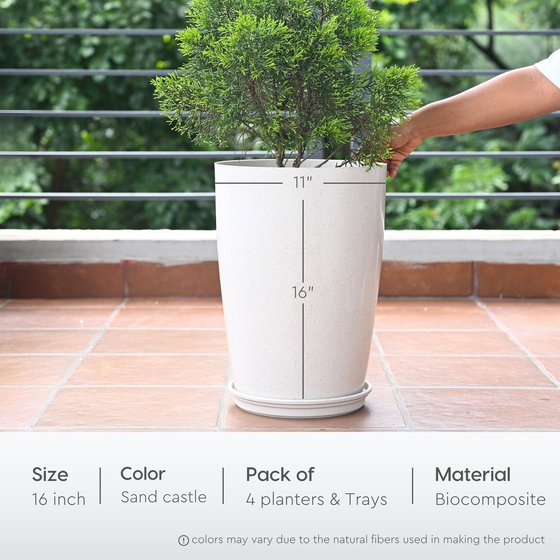 Earth Friendly Cypress 16 4 image 2