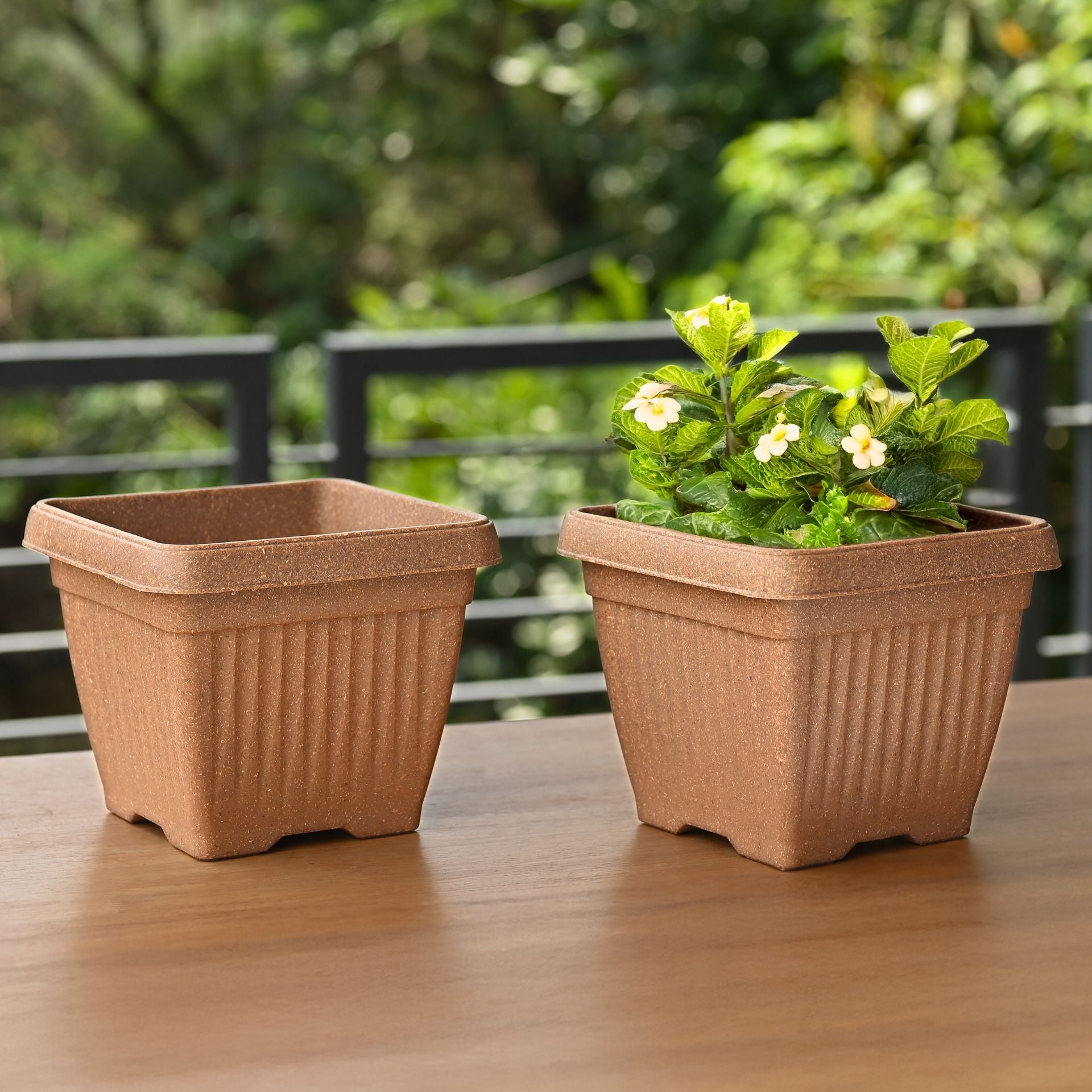 Earth-Friendly Planters Bella Square 8 Inch set of 2 | Bamboo Based Pots and Planters