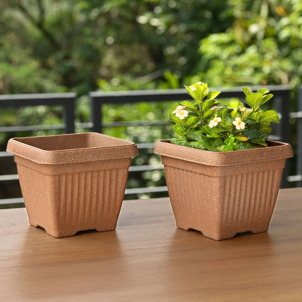Earth-Friendly Planters Bella Square 8 Inch set of 2 | Bamboo Based Pots and Planters