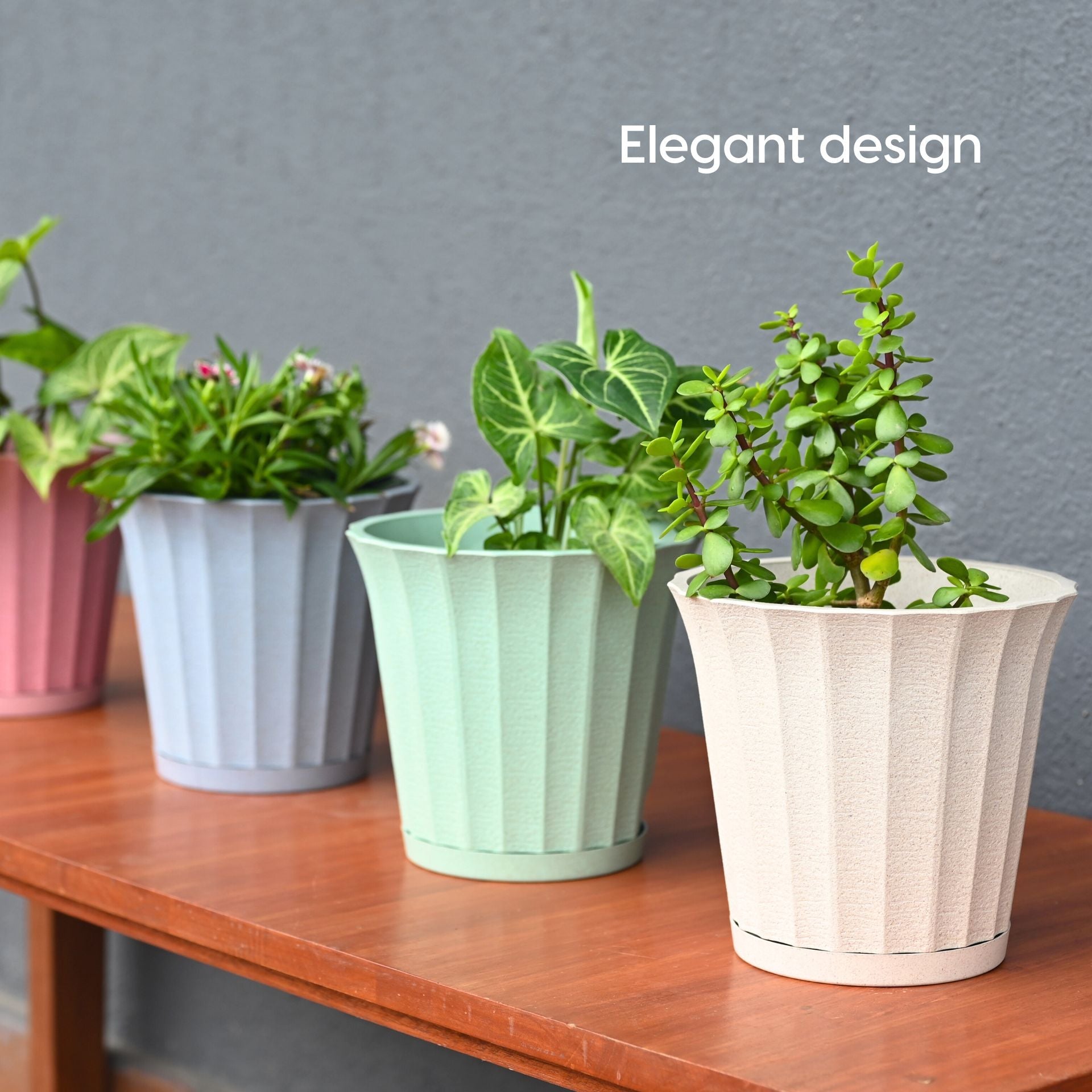 Earth Friendly Ace 7 inch image 7