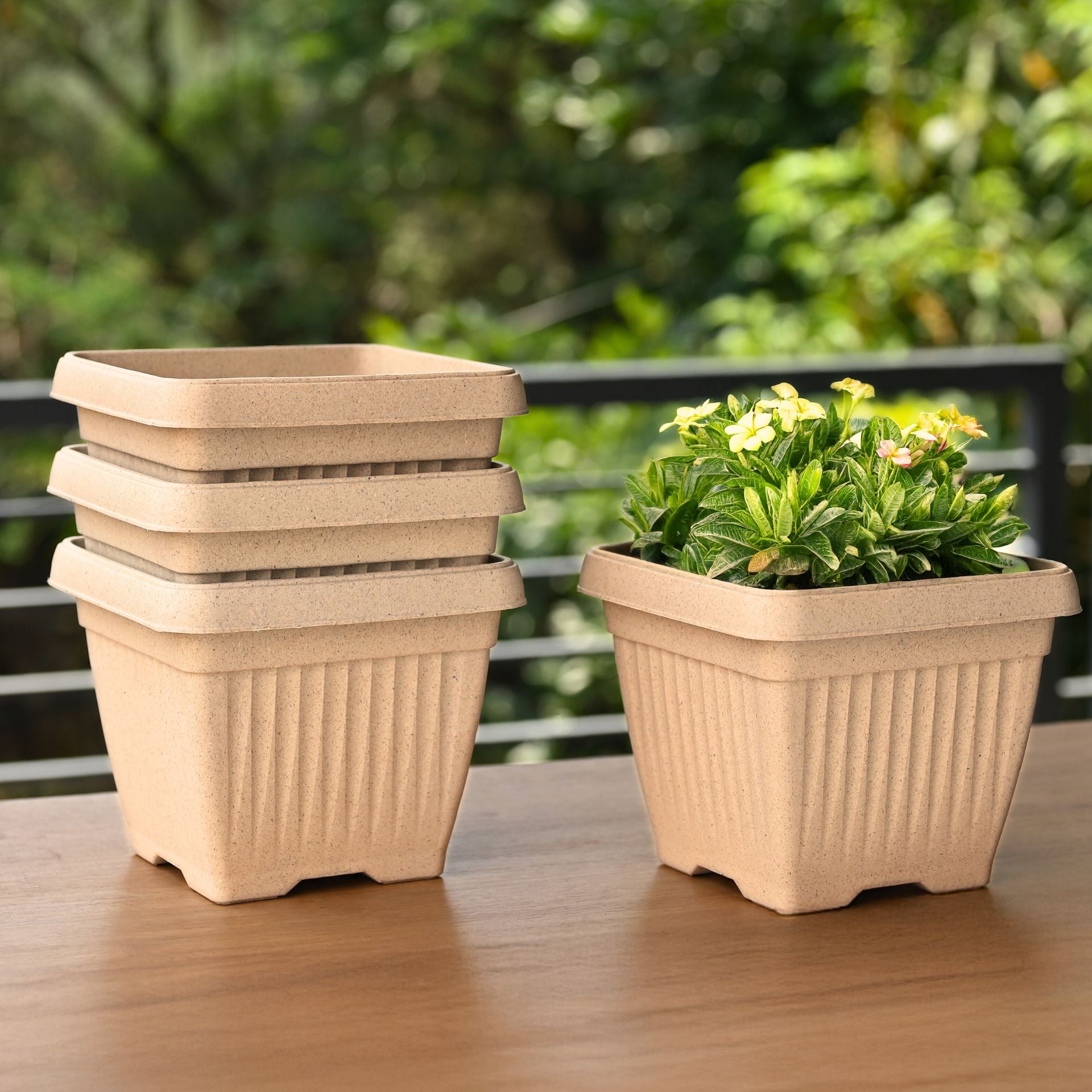 Earth-Friendly Planters Bella Square 8 Inch set of 4 | Bamboo Based Pots and Planters