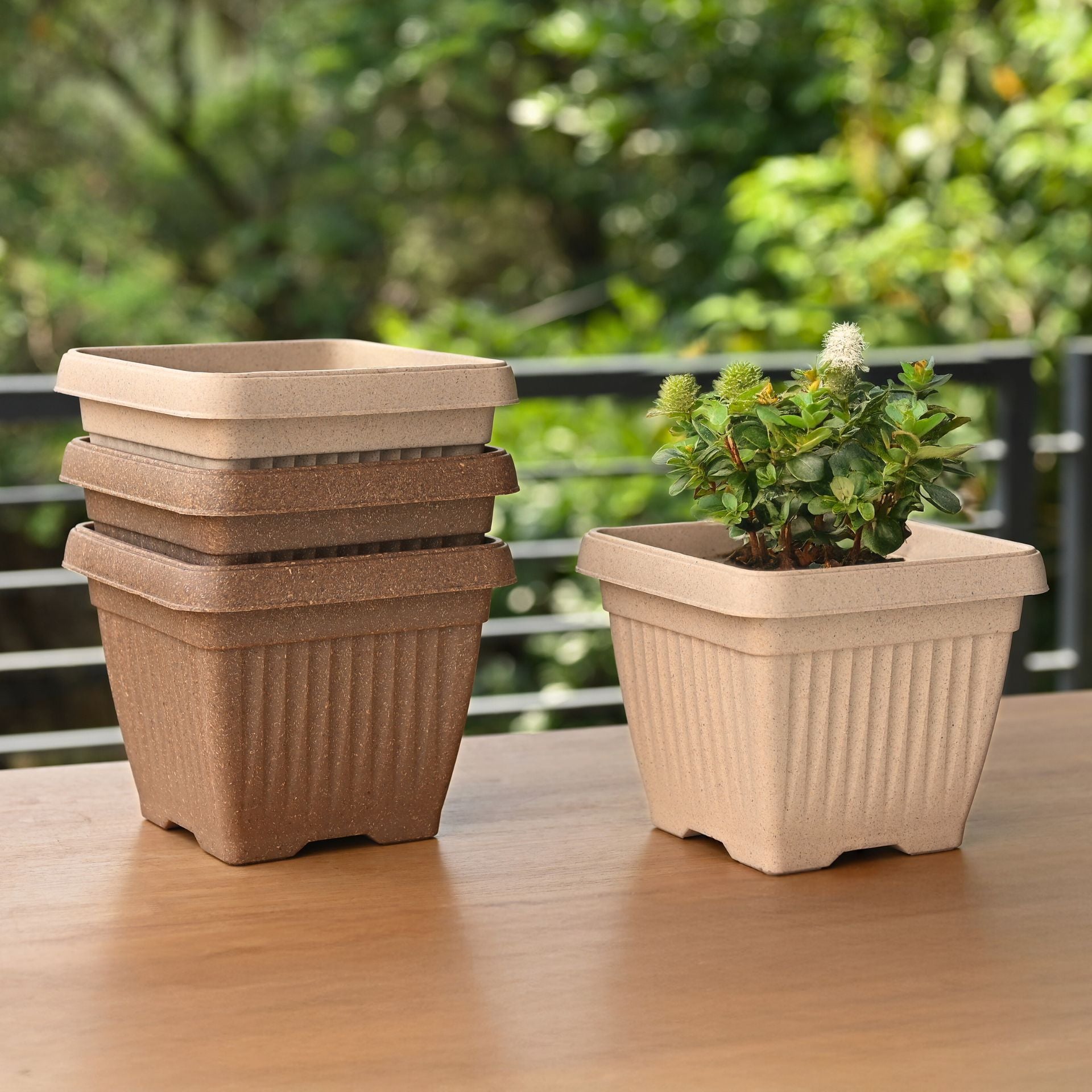 Earth-Friendly Planters Bella Square 8 Inch set of 4 | Bamboo Based Pots and Planters