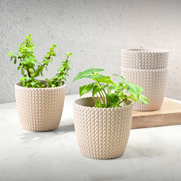 Earth Friendly Link 5.5 inch | Set of 4