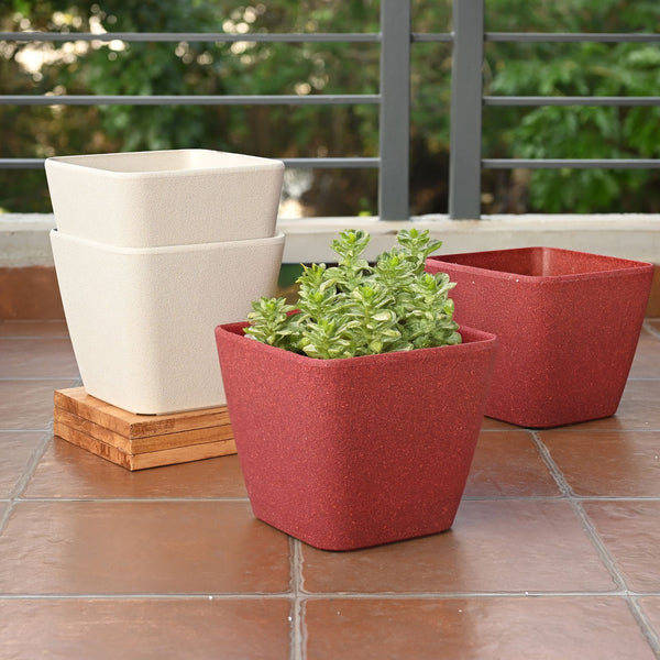 Earth-Friendly Daisy Self Watering Planters 9 Inch set of 4 | Bamboo Based Pots and Planters