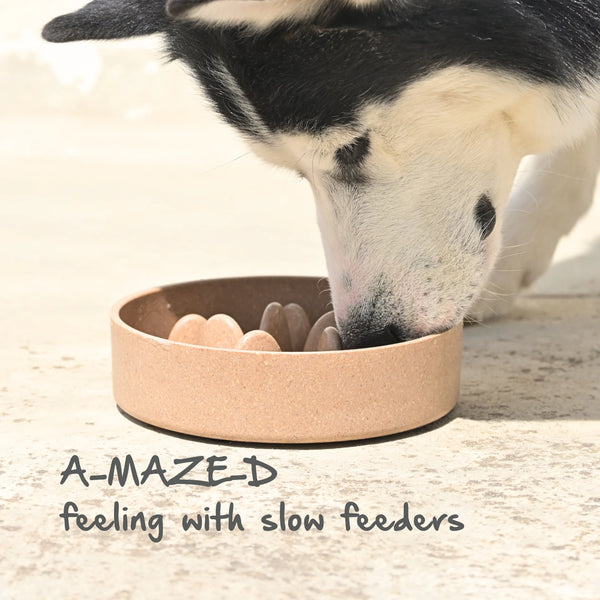 ECO FRIEDNLY PET BOWLS