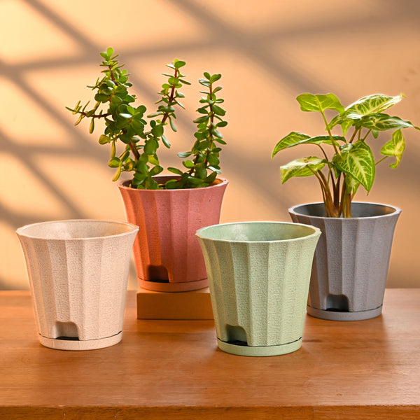 Earth Friendly Ace 5 inch | Set of 4