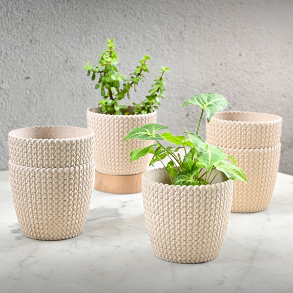 Earth Friendly Link 5.5 inch | Set of 6