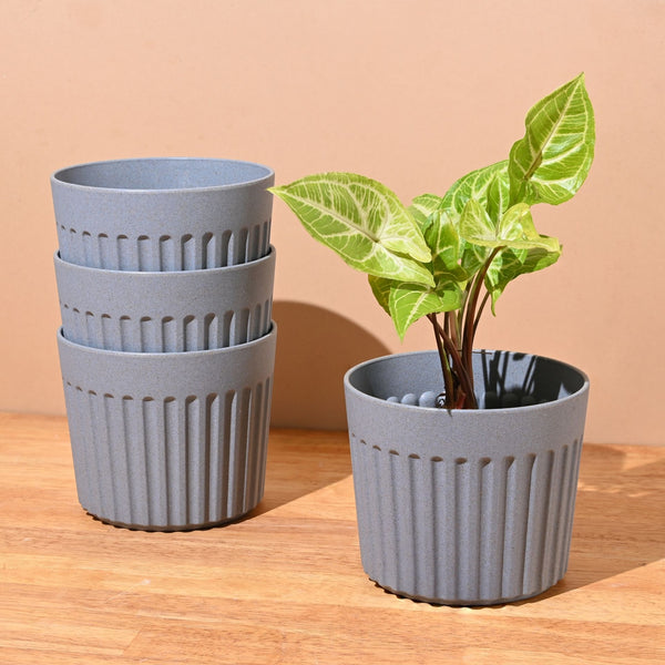 Earth Friendly Romano 5 inch | Set of 4