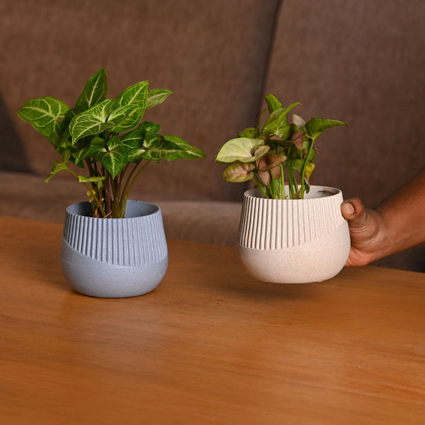 Earth-Friendly Oreo 4 inch small pots | Set of 2