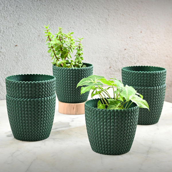 Earth Friendly Link 5.5 inch | Set of 6