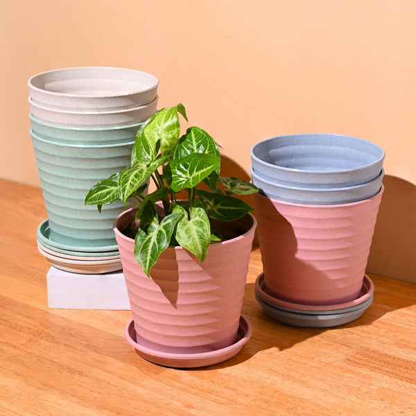 Earth Friendly Planters Linea 5.5 Inch | Set of 8