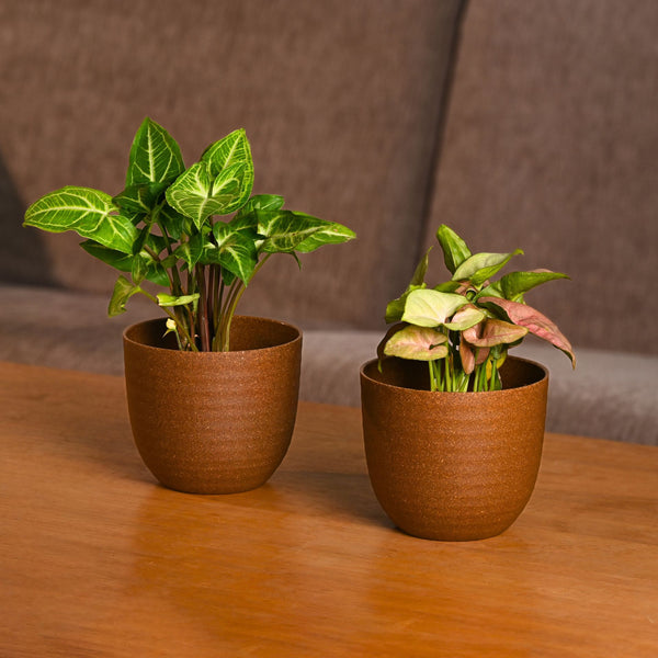 Earth-Friendly Planters Verona 4 Inch set of 2 | Bamboo Based Pots and Planters