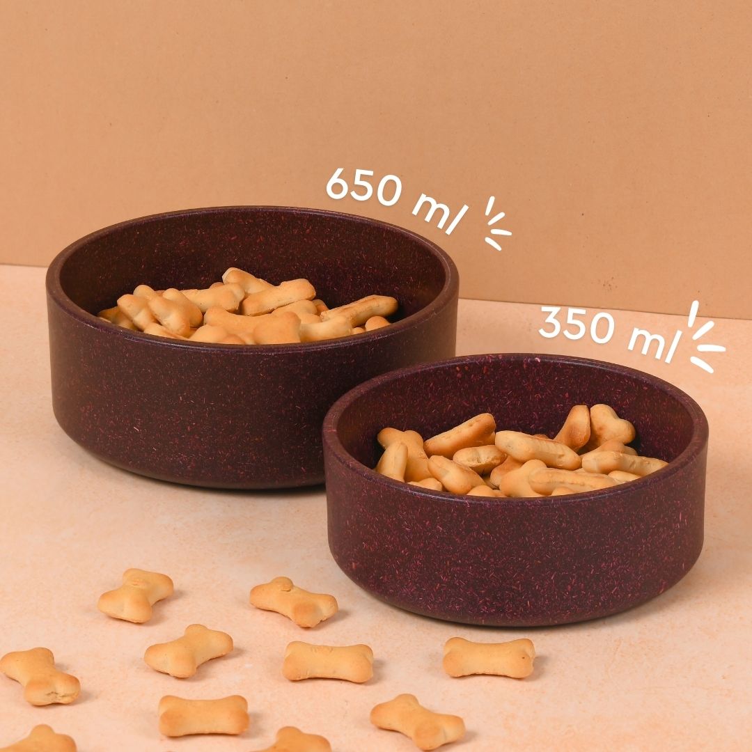 Earth friendly GreenPaws Pet Bowl | Set of 2