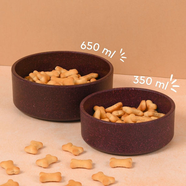 Earth friendly GreenPaws Pet Bowl | Set of 2