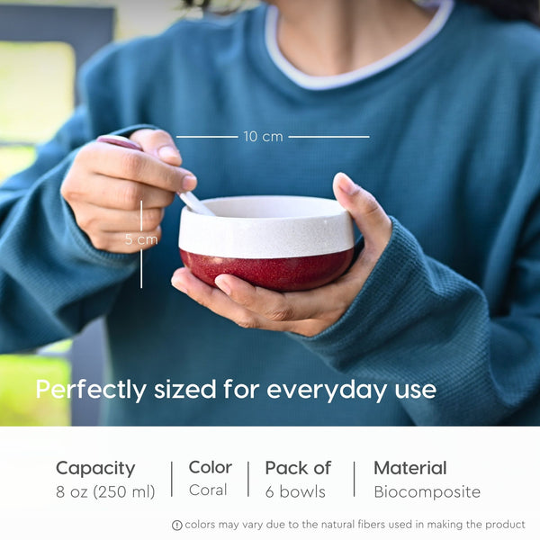 Soup Bowl 250 ml set of 6 | Earth friendly Unbreakable bowls with Spoon