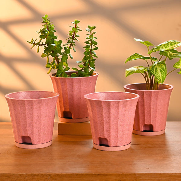 Earth Friendly Ace 5 inch | Set of 4