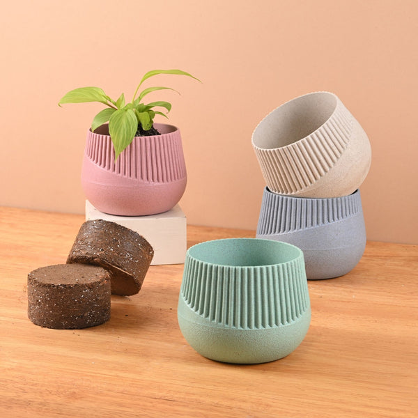 Earth Friendly Oreo 4 inch Small pots for Indoor Plants with 2 Growmix | Pack of 4