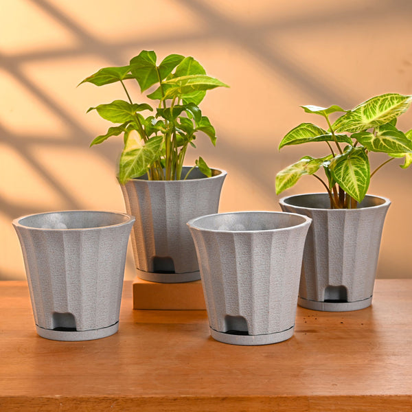 Earth Friendly Ace 5 inch | Set of 4