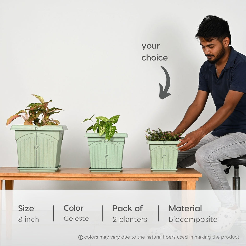 Earth Friendly 8 Archway Planters image 2